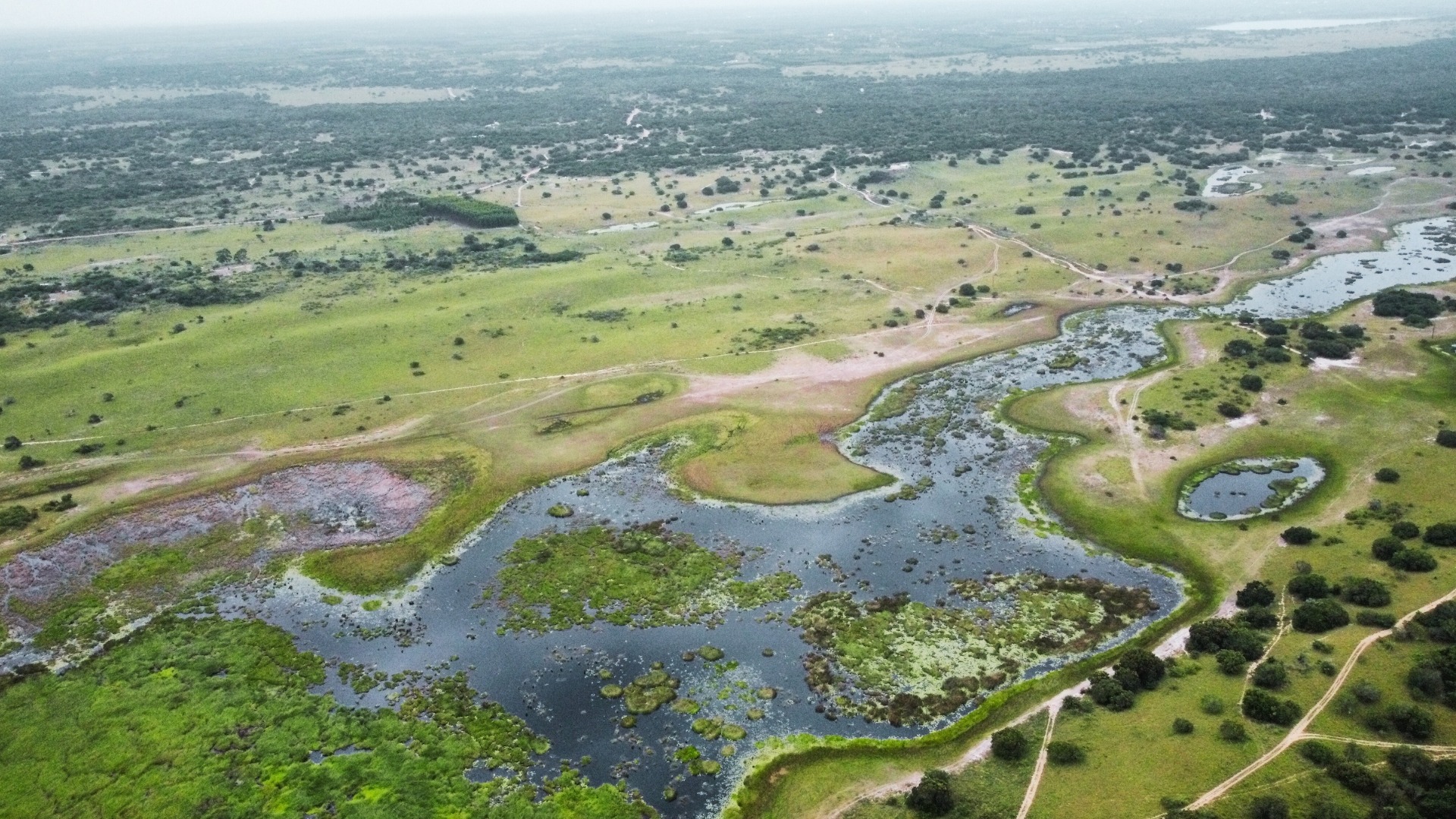 hippos rest aerial 4