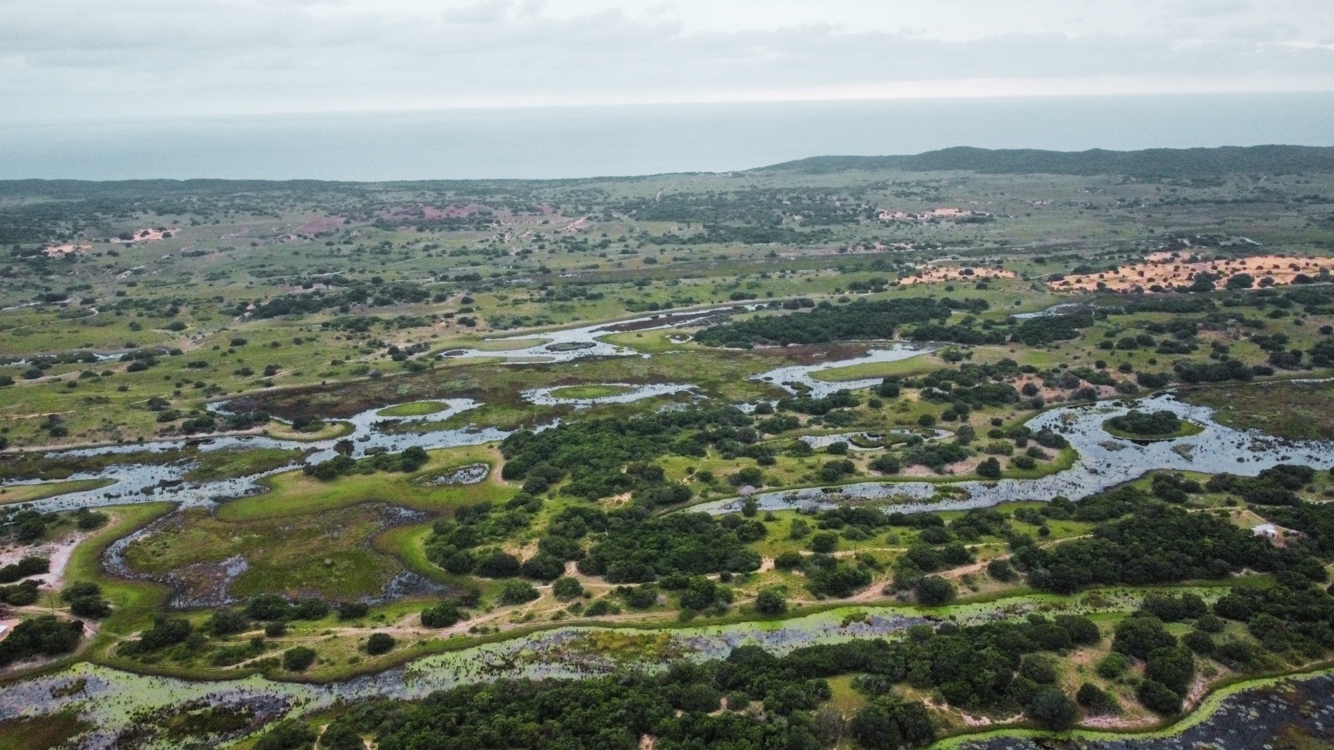 hippos rest aerial 2