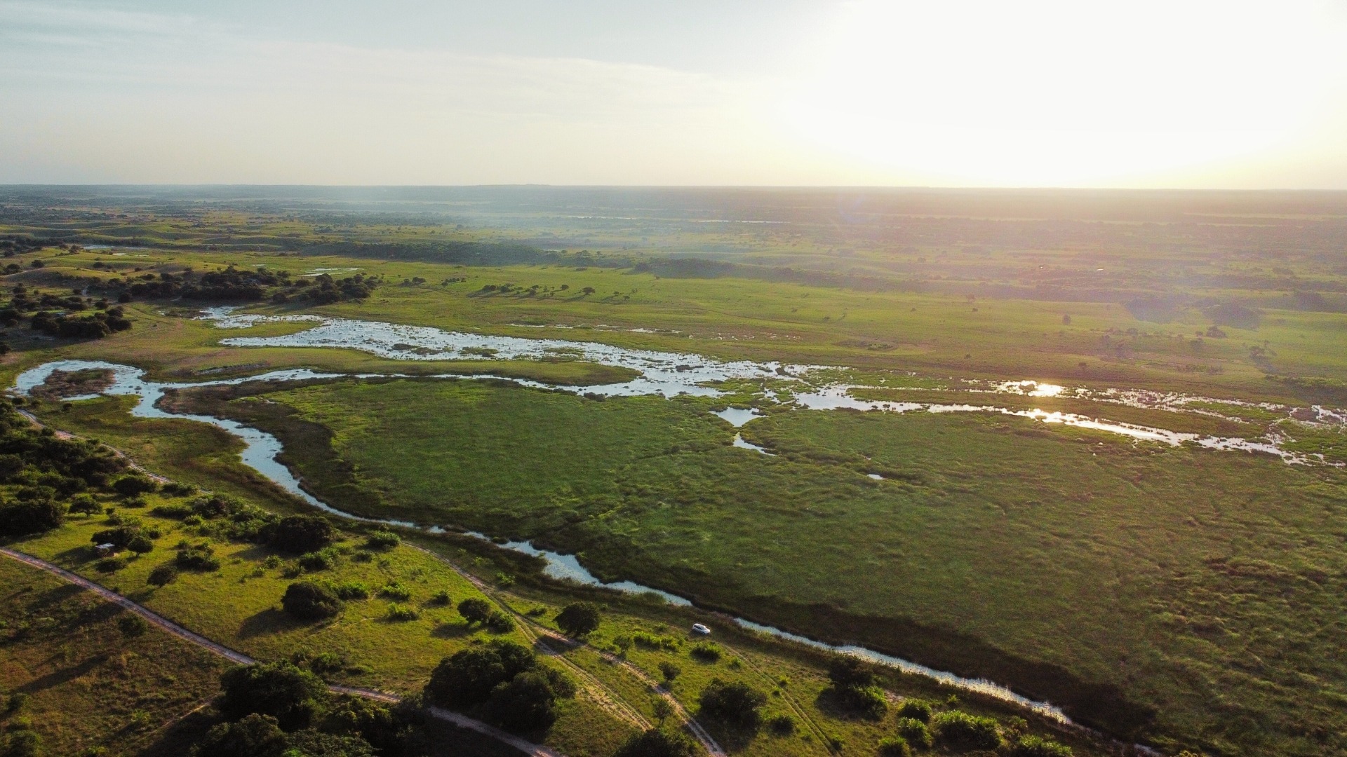 hippos rest aerial 3