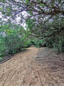 IMG_20240210_085528-min